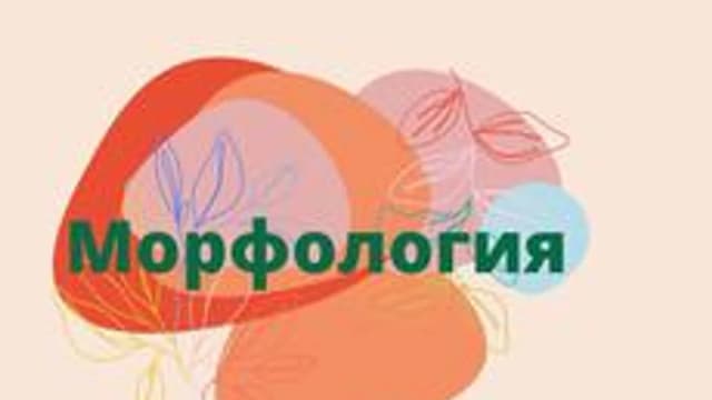 Обложка курса «Морфология» на Stepik