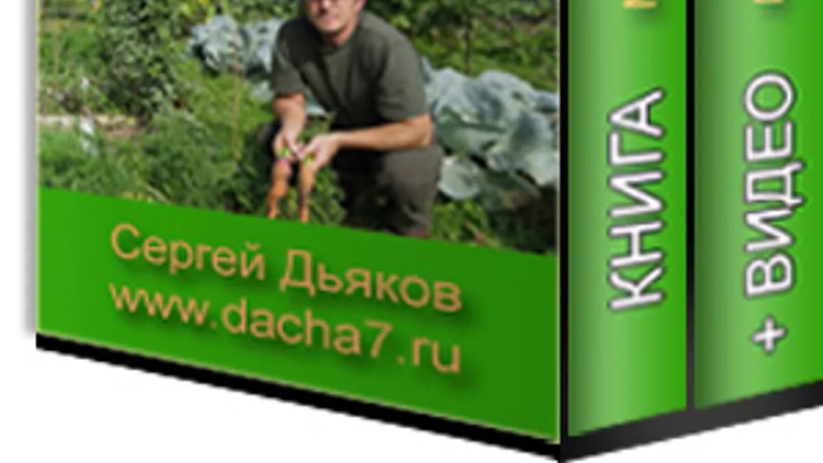 Обложка курса: Морковь без проблем. Площадка: Складчик