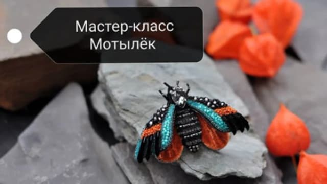 Обложка курса: Мотылёк (galina_chankova). Площадка: Складчина.biz