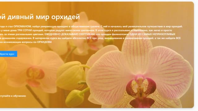 Обложка курса: Мой дивный мир орхидей. Площадка: Складчик
