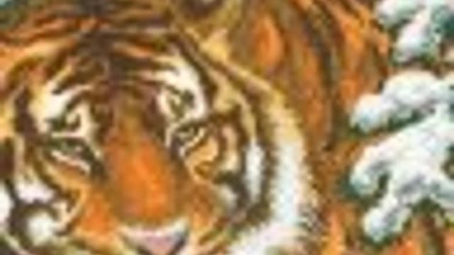 Обложка курса: Мой малыш-1. Площадка: Складчик