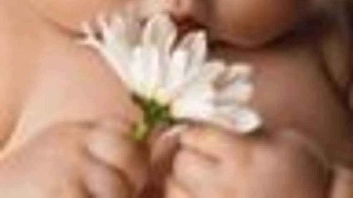 Обложка курса: Моя звездная семья. Площадка: Складчик