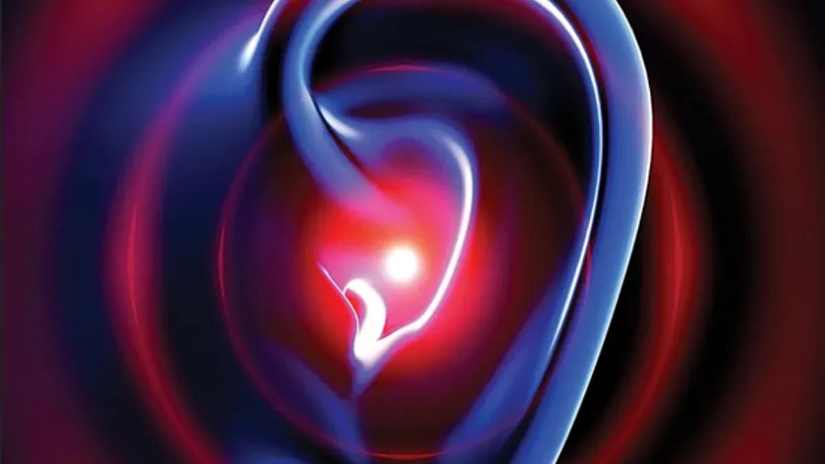 Обложка курса: Мозг слушает [Нина Краус]. Площадка: Складчик
