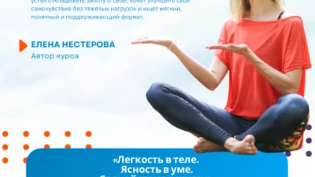 Обложка курса: Мозжечок (Елена Нестерова). Площадка: Складчина.biz