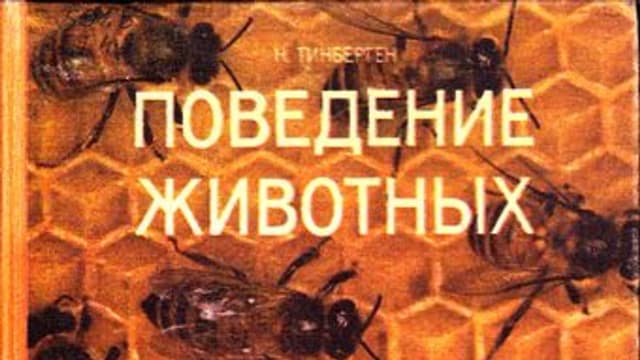 Обложка курса: Н. Тинберген - Поведение животных. Площадка: Складчик