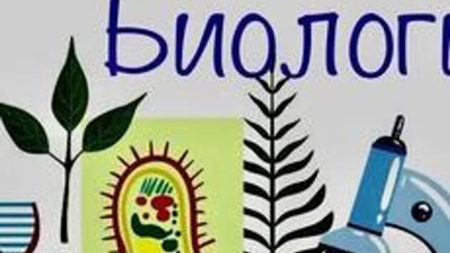 Обложка курса «Начальная биология» на Stepik