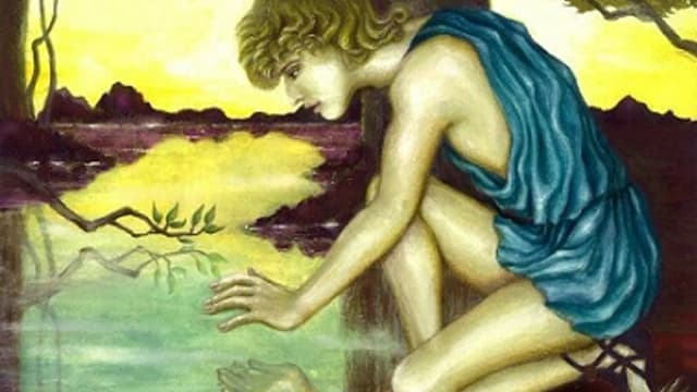 Обложка курса: Нарциссизм [Надежда Майн]. Площадка: Складчик
