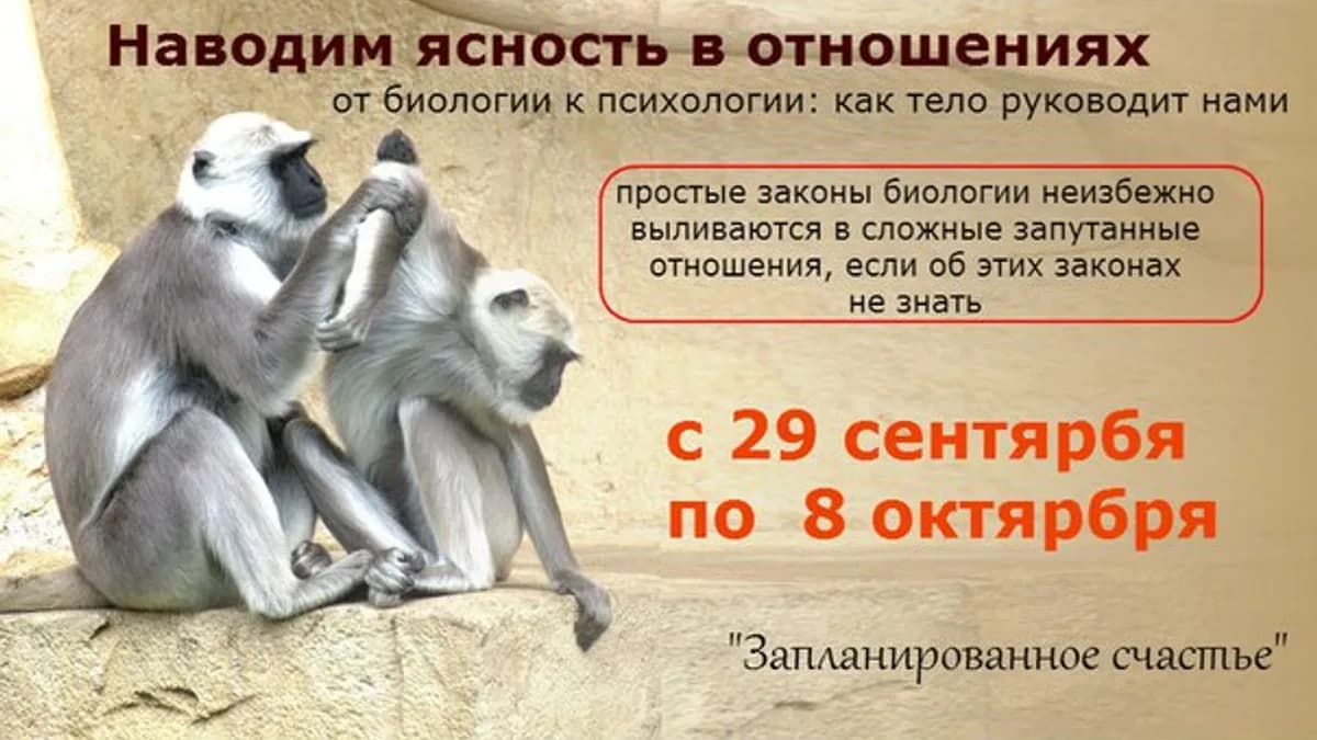 Обложка курса: Наводим ясность в отношениях. Площадка: Складчик