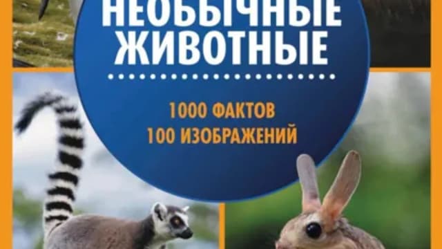 Обложка курса: Необычные животные [Елена Ульева]. Площадка: Складчик