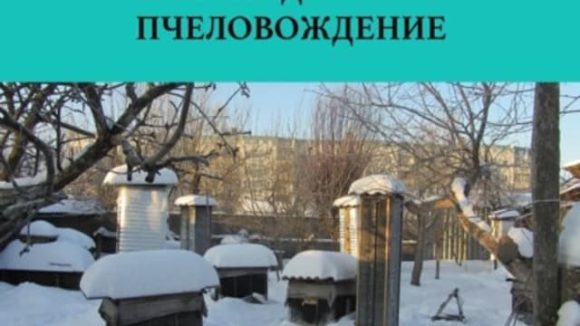 Обложка курса: Нестандартное пчеловождение [Валерий Слотин]. Площадка: Складчик