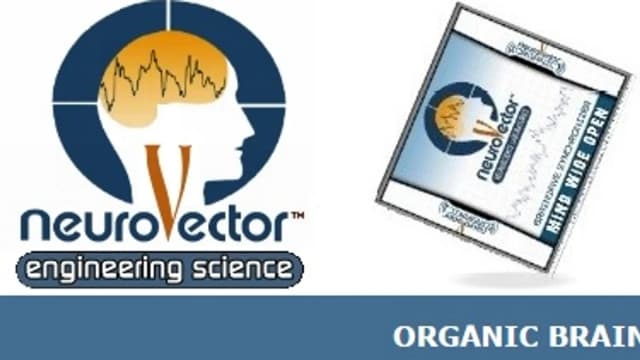 Обложка курса: NeuroVector. Площадка: Складчик