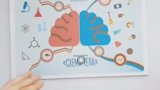 Обложка курса: Нейроальбом «Схема тела» (Юлия Степанова). Площадка: Складчина.biz
