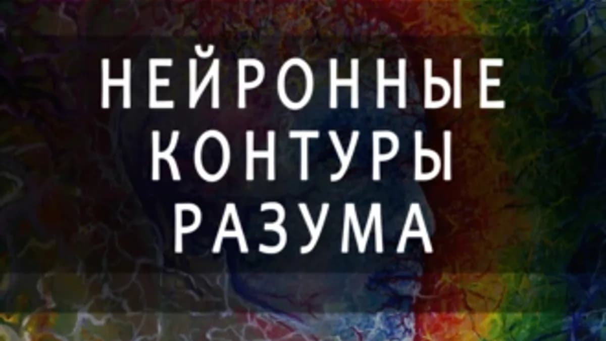 Обложка курса: Нейронные контуры разума [Агент Времени]. Площадка: Складчик