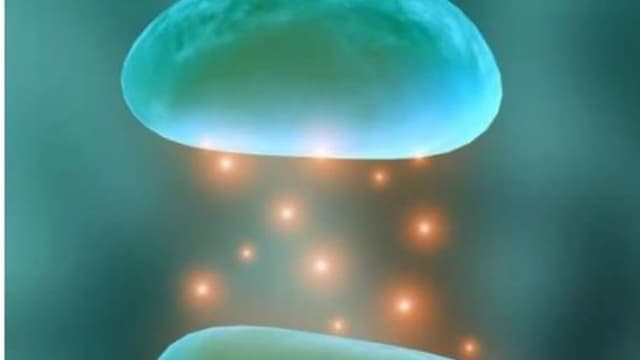 Обложка курса: Нейропластичность мозга [Ольга Душкова]. Площадка: Складчик
