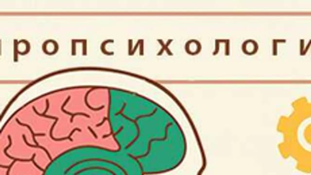 Обложка курса «нейропсихология» на Stepik