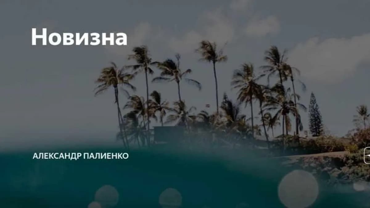 Обложка курса: Новизна (Александр Палиенко). Площадка: Складчина.biz