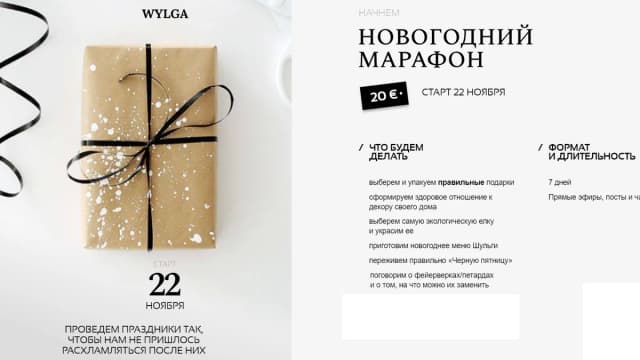 Обложка курса: Новогодний марафон [wylga]. Площадка: Складчик