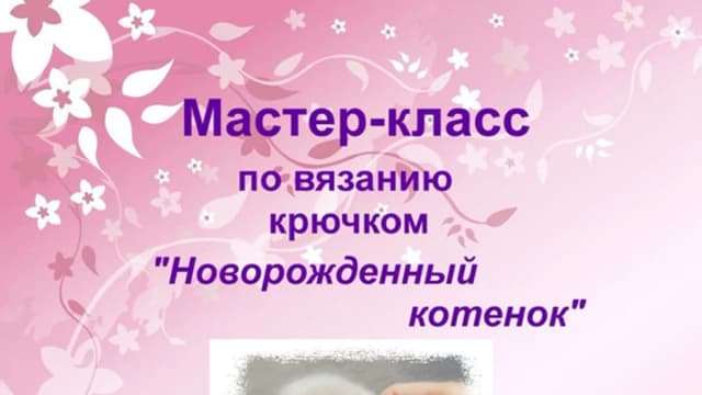 Обложка курса: Новорожденный котенок (Татьяна Коротких). Площадка: Складчина.biz