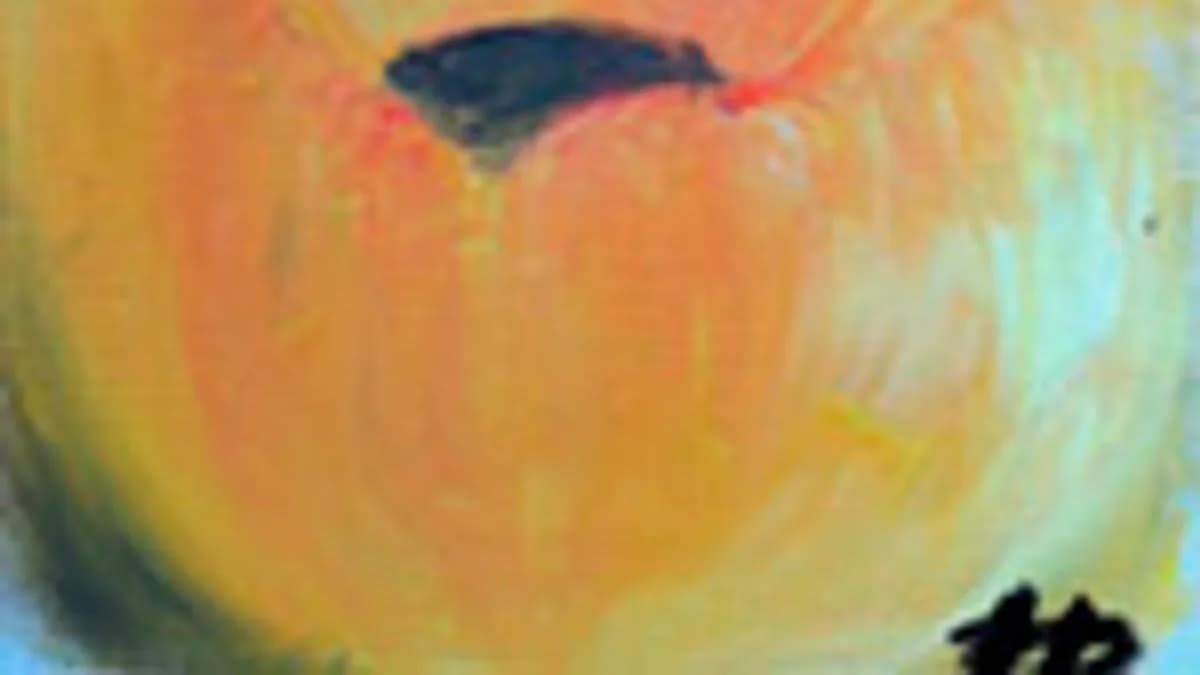 Обложка курса: Новые вебинары Нины Рубштейн. Площадка: Складчик