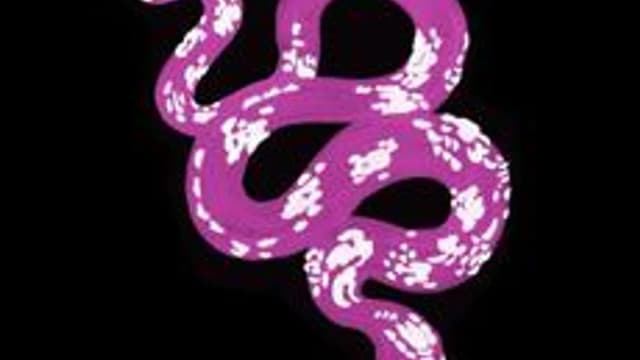 Обложка курса «Объектно-ориентированное программирование на Python + скраппинг» на Stepik