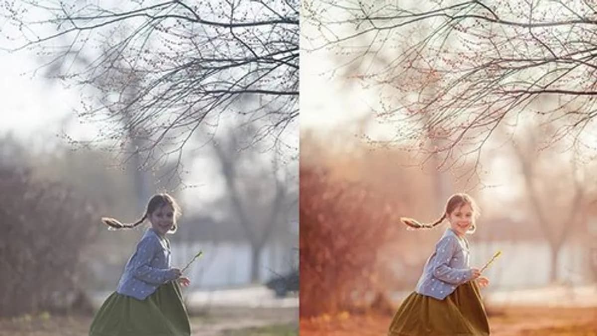 Обложка курса: Обработка фотографий [Зоя Павкина]. Площадка: Складчик