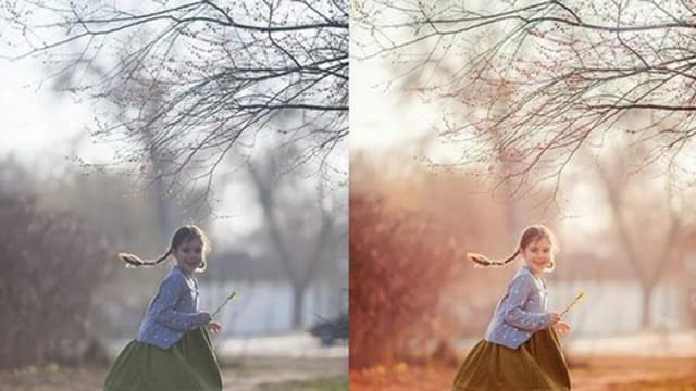 Обложка курса: Обработка фотографий [Зоя Павкина]. Площадка: Складчик