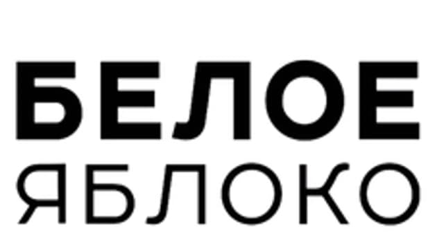 Обложка курса «Обучение БЯ» на Stepik