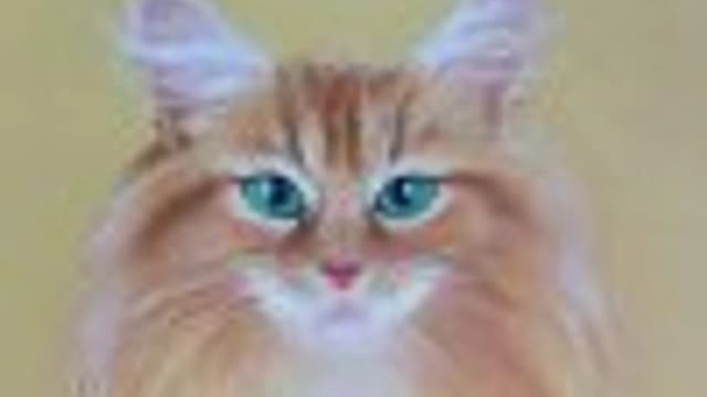 Обложка курса: Очередной котик. Площадка: Складчик