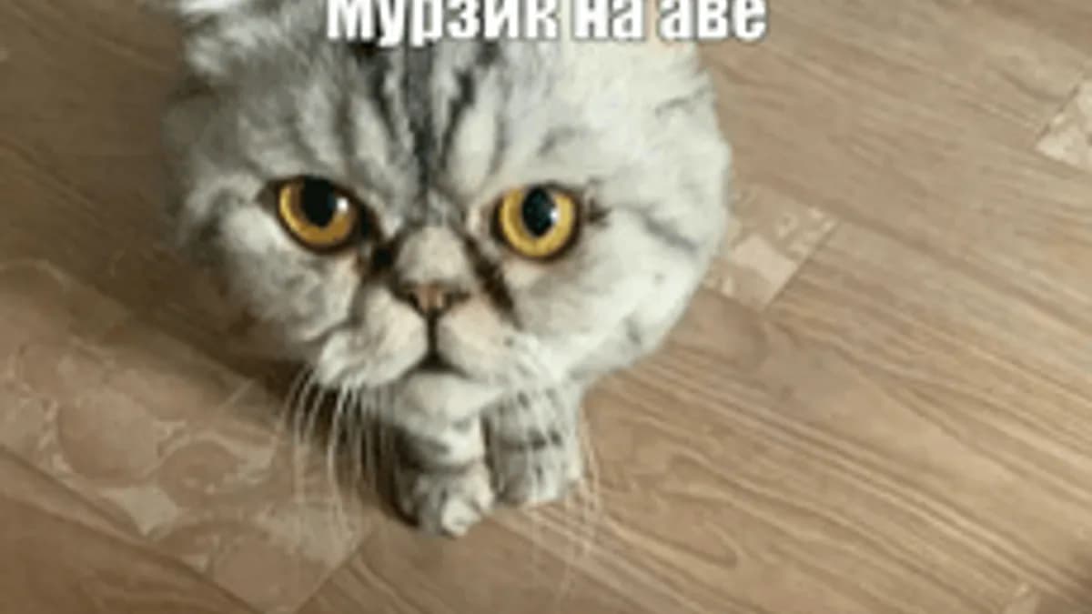 Обложка курса «ОГЭ Информатика 2026» на Stepik