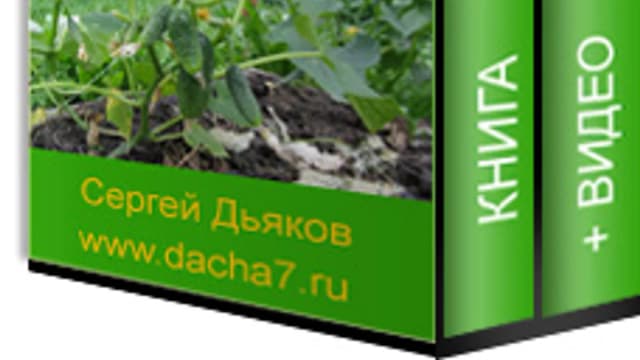 Обложка курса: Огурцы на шпалере. Площадка: Складчик