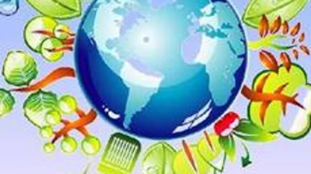 Обложка курса «окружающий мир 2 класс» на Stepik