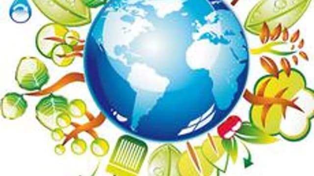 Обложка курса «Окружающий мир 4 класс» на Stepik