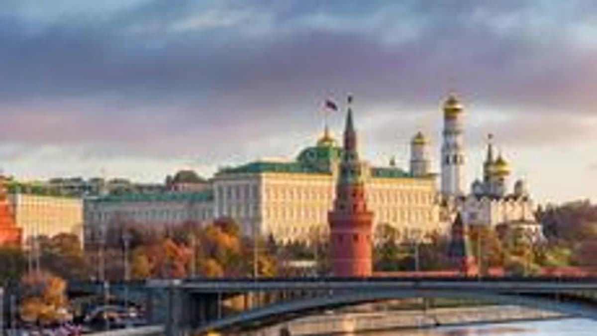 Обложка курса «Окружающий мир» на Stepik