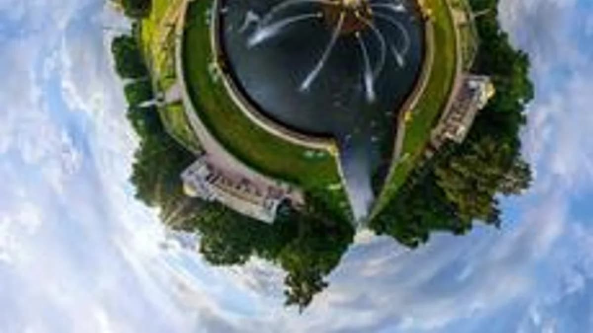 Обложка курса «Окружающий мир» на Stepik
