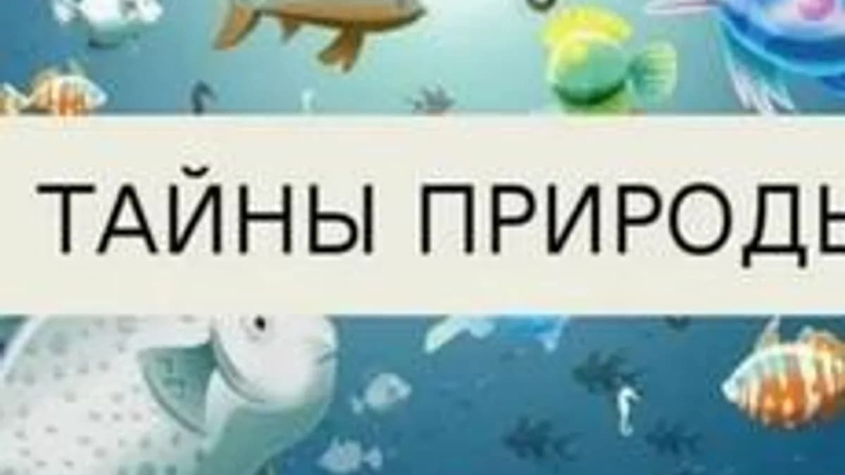 Обложка курса «Окружающий мир: Тайны природы» на Stepik