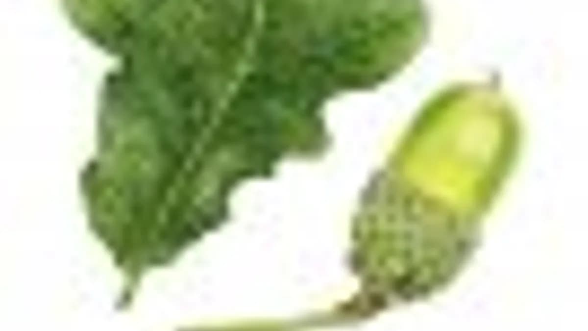 Обложка курса: Он-лайн школа акварели. Площадка: Складчик
