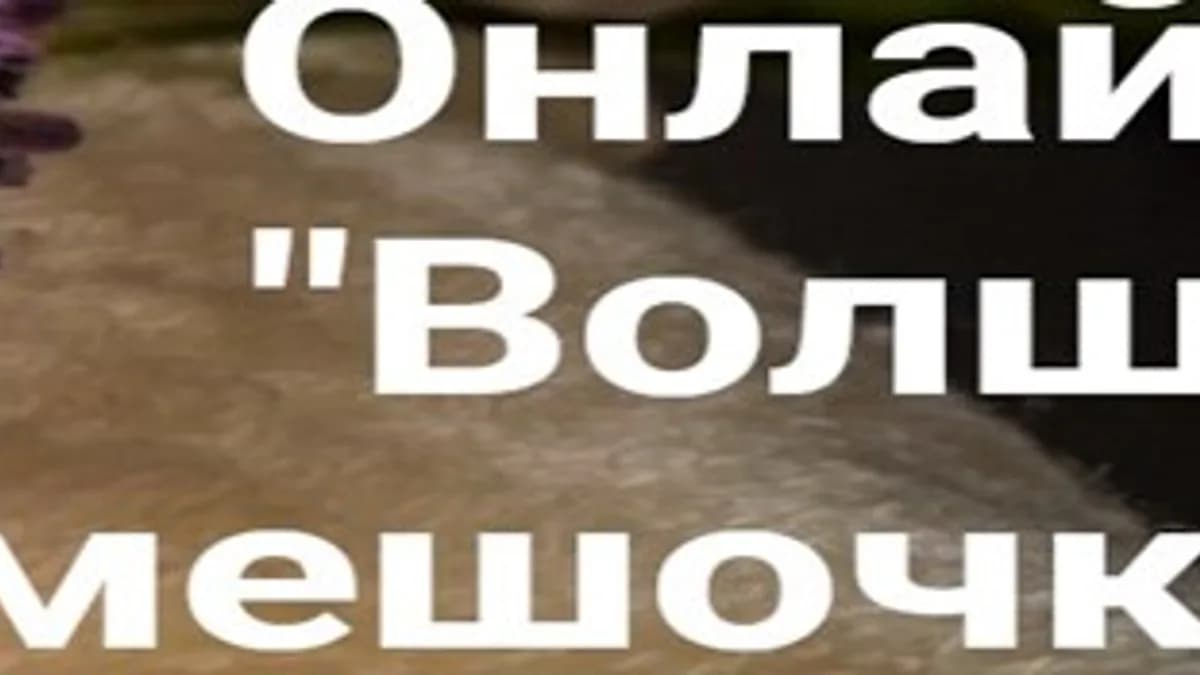 Обложка курса: Онлайн-курс "Волшебные мешочки хорме" [Доктор Сэсэг]. Площадка: Складчик