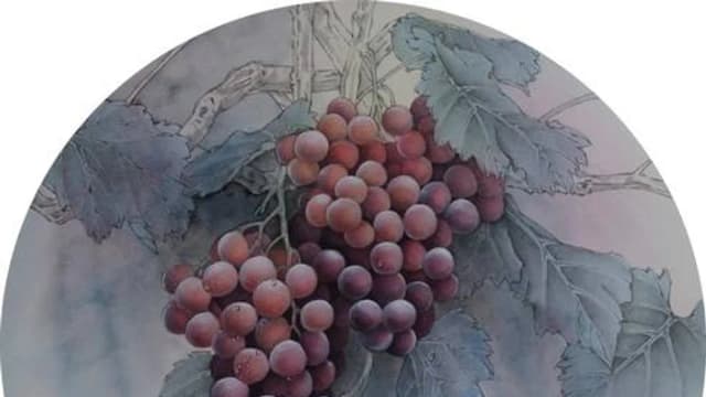 Обложка курса: [Онлайн школа Гунби] Виноград (Ли Чжэ). Площадка: Складчина.biz