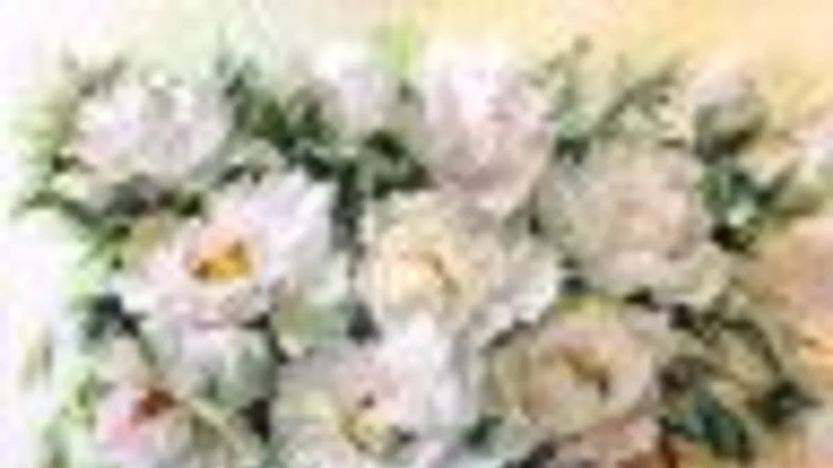 Обложка курса: Онлайн-школа «Новая я». Площадка: Складчик