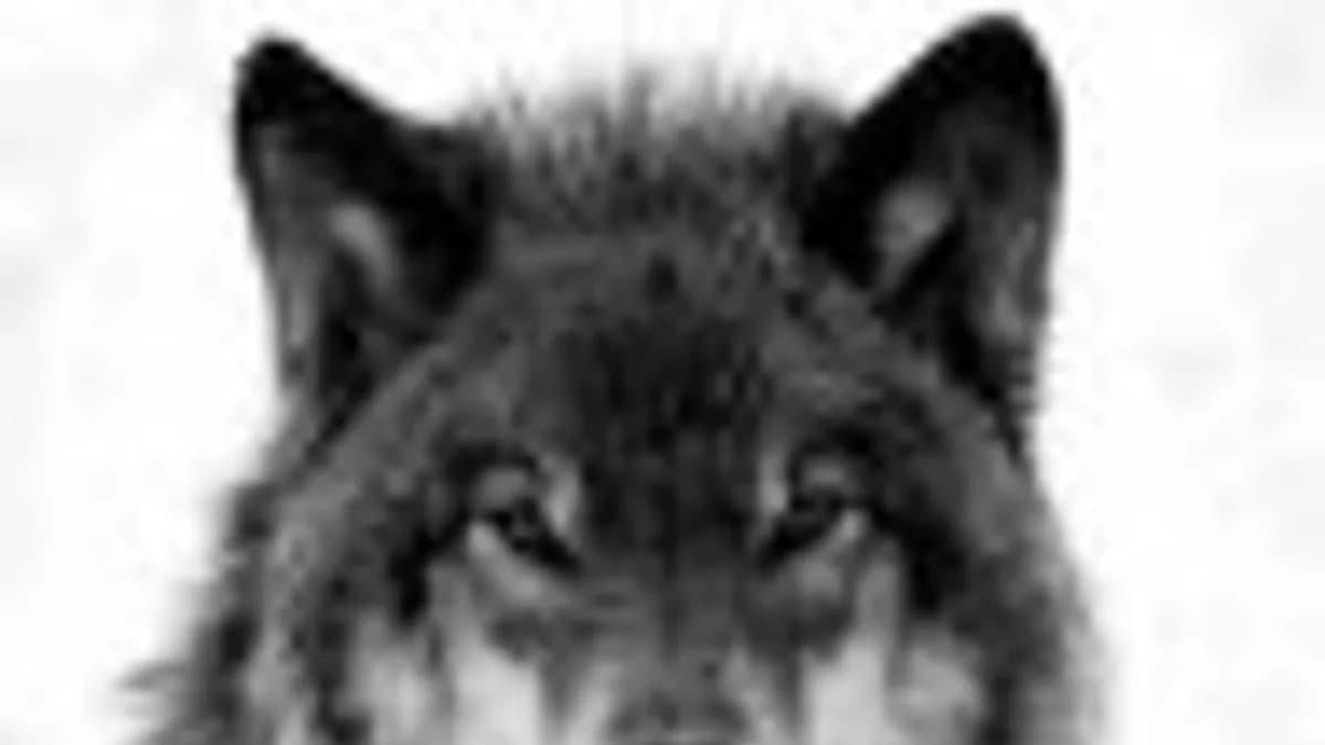 Обложка курса: [OpenCart] GameWorld. Площадка: Складчик