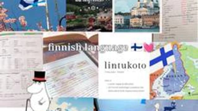 Обложка курса «Opi suomea: Perustietoja kielestä» на Stepik