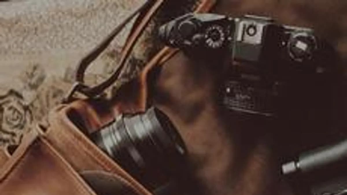 Обложка курса «Основы фотографии» на Stepik