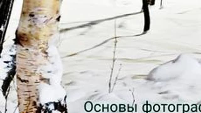 Обложка курса «Основы фотографии» на Stepik