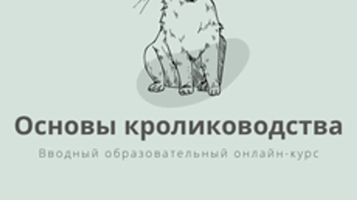 Обложка курса «Основы кролиководства» на Stepik