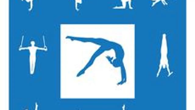 Обложка курса «Основы Спортивной Гимнастики» на Stepik