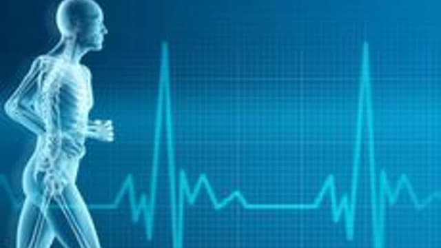 Обложка курса «Основы спортивной медицины» на Stepik