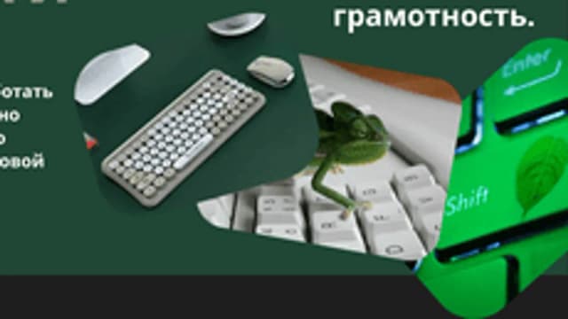 Обложка курса «Основы цифровой грамотности» на Stepik