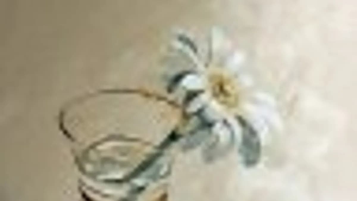 Обложка курса: Основы цветоведения. Площадка: Складчик
