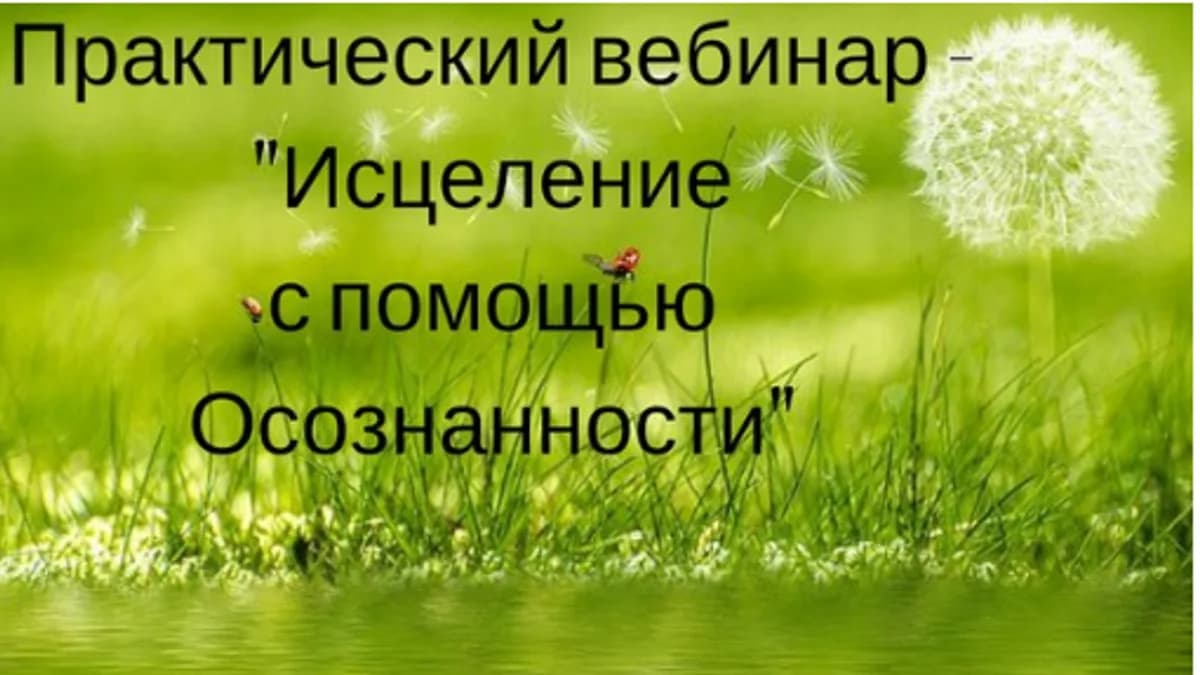 Обложка курса: Осознанное исцеление. Площадка: Складчик