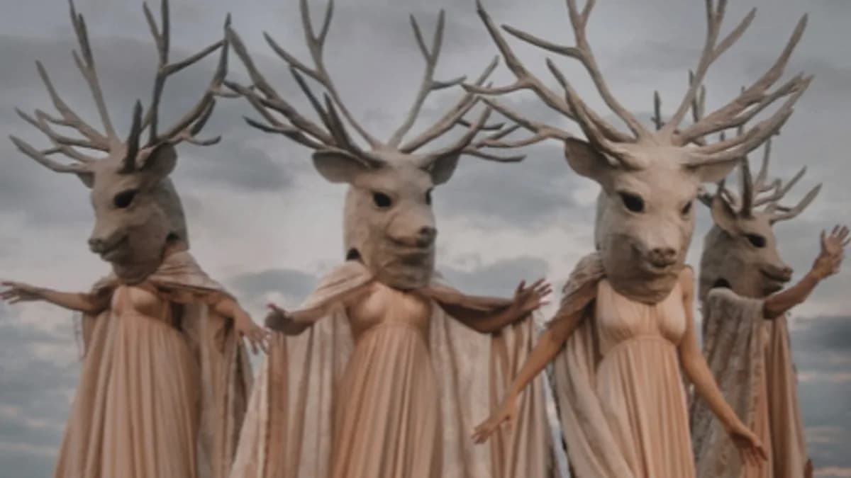 Обложка курса: [Папье-маше] Интенсив [masquenpapiermache]. Площадка: Складчик